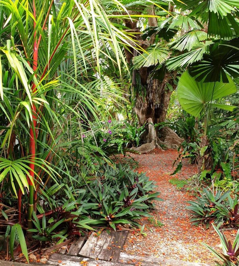 Rainforest Castaways Resort And Spa Mission Beach Exterior foto